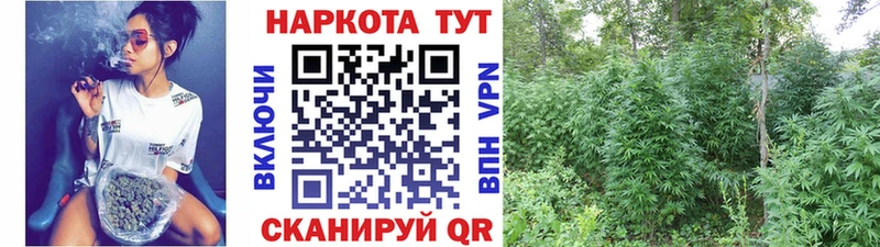 Где найти наркотики Спасск-Дальний ГАШ  Бутират  Альфа ПВП  МЕФ  Канабис 