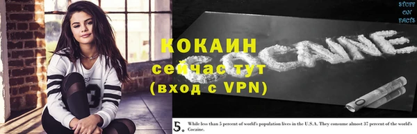 ПСИЛОЦИБИНОВЫЕ ГРИБЫ Аркадак