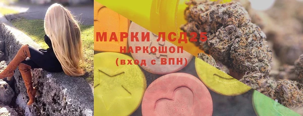 ПСИЛОЦИБИНОВЫЕ ГРИБЫ Аркадак