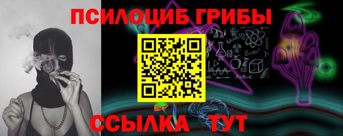 Галлюциногенные грибы прущие грибы  Псилоцибиновые грибы прущие грибы  Спасск-Дальний  Вход с VPN 